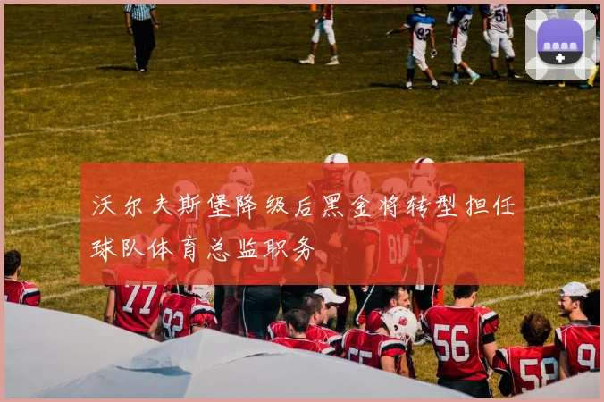 沃尔夫斯堡降级后黑金将转型担任球队体育总监职务