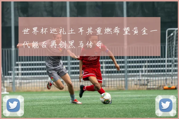 世界杯巡礼土耳其重燃希望黄金一代能否再创黑马传奇
