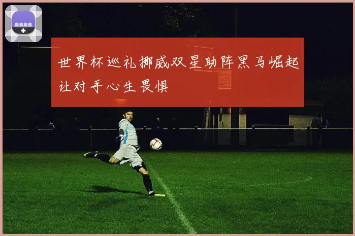 世界杯巡礼挪威双星助阵黑马崛起让对手心生畏惧