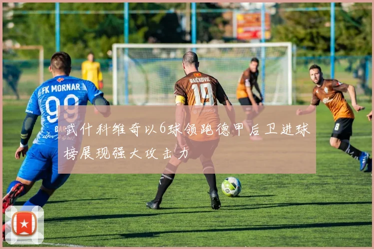 武什科维奇以6球领跑德甲后卫进球榜展现强大攻击力
